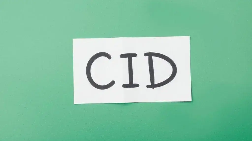 Como decidir: perguntas práticas, exemplos reais e alternativas no processo seletivo